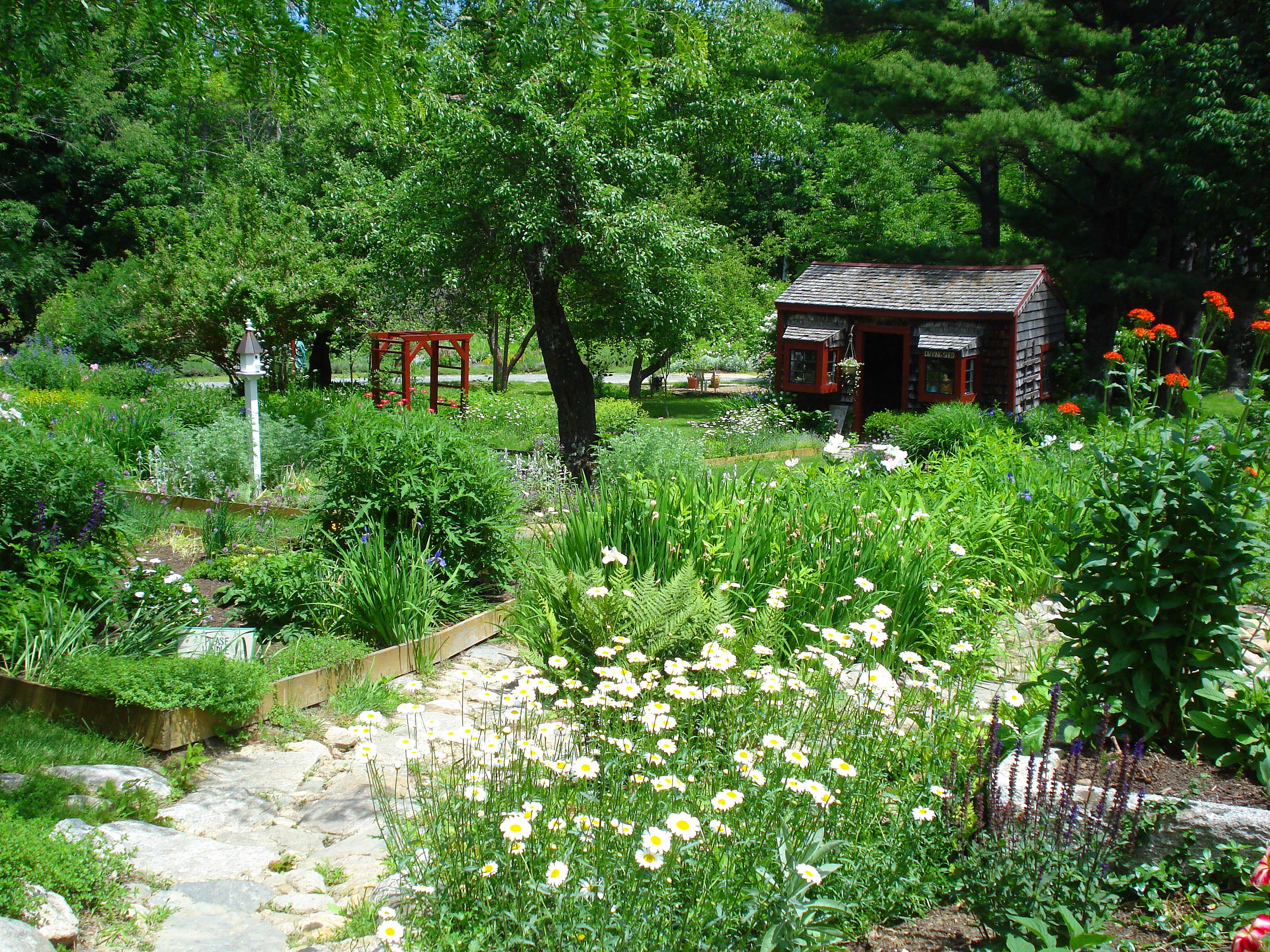 drying shed distance